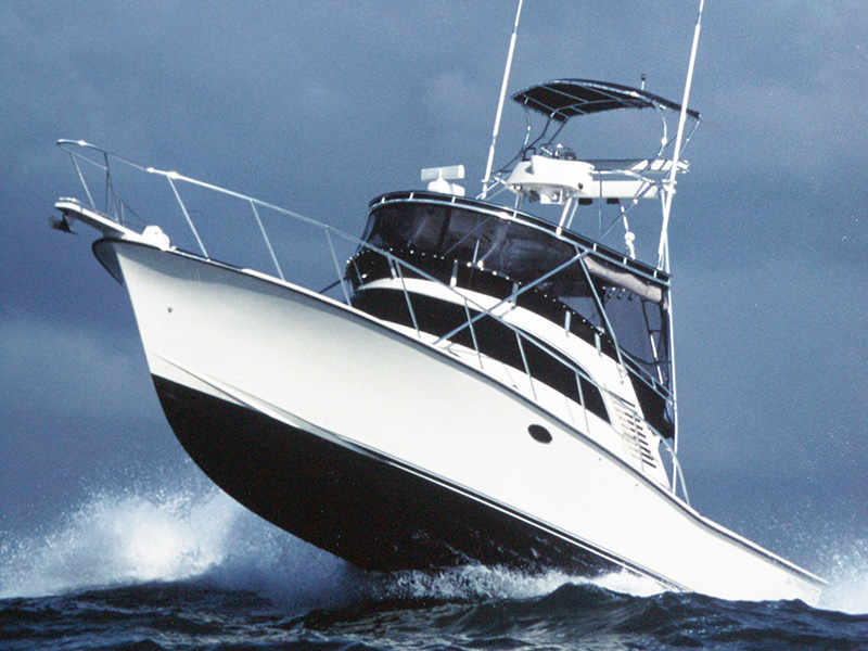 AFISHINADO IS FOR SALE