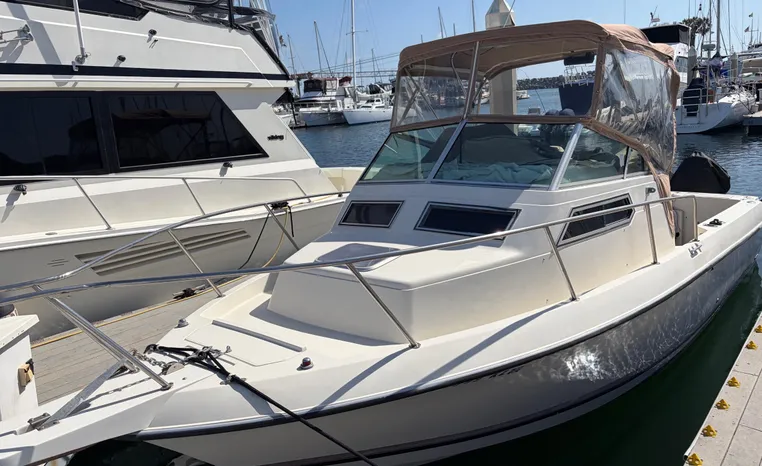 25′ DONZI 255 LXC 1991